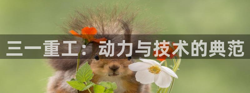 威九国际免费进入