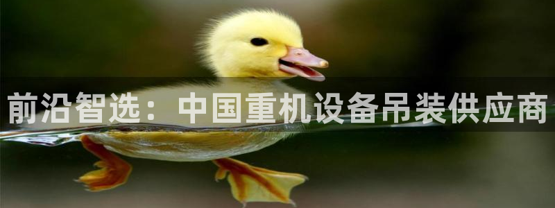 威九国际官方网站：前沿智选：中国重机设备吊装供应商