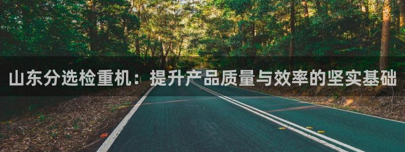 威九国际海域：山东分选检重机：提升产品质量与效率的坚实基础