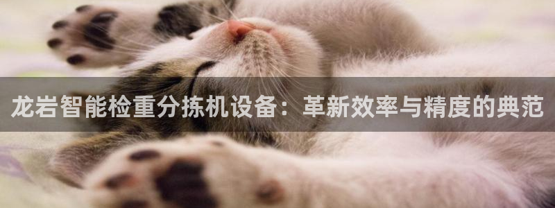 威九国际地址：龙岩智能检重分拣机设备：革新效率与精度的典范