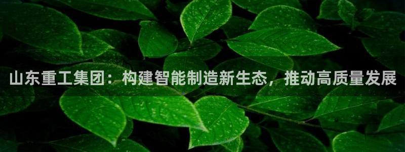 78mppt威九国际：山东重工集团：构建智能制造新生态，推动