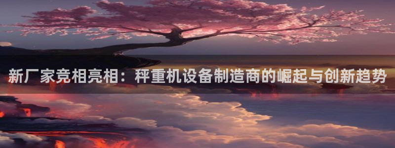 威九国际网站更新：新厂家竞相亮相：秤重机设备制造商的崛起与创