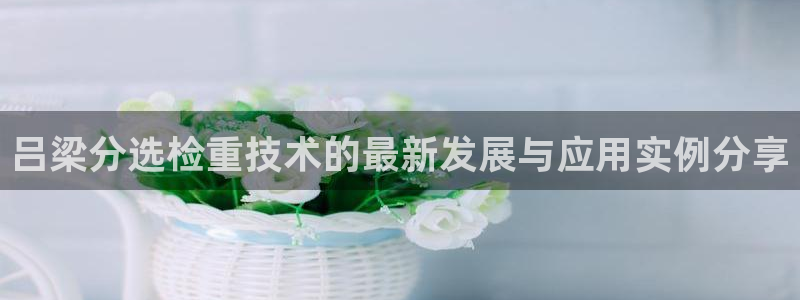 威九国际可以提现吗：吕梁分选检重技术的最新发展与应用实例分享