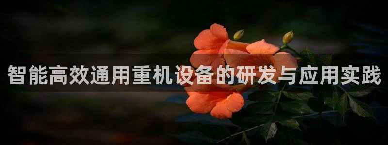 威九国际网站入口地址：智能高效通用重机设备的研发与应用实践