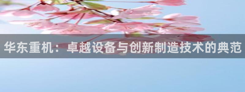 威九国际服：华东重机：卓越设备与创新制造技术的典范