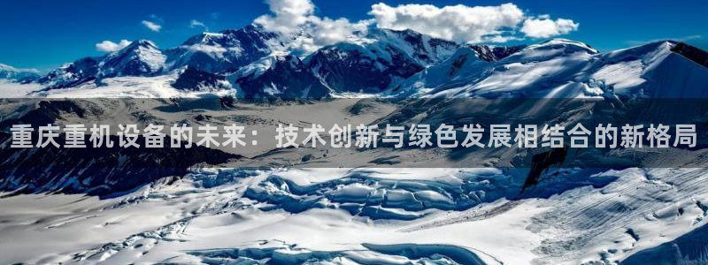威九国际软件公司简介