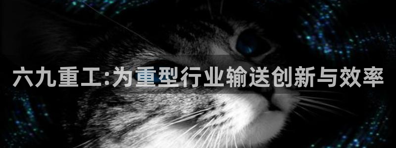 威九国际网站入口官网免费下载