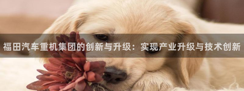 威九国际网站客服电话多少号