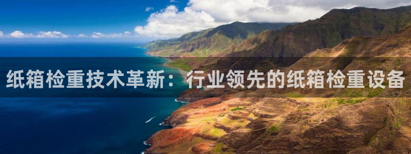 威九国际FF：纸箱检重技术革新：行业领先的纸箱检重设备