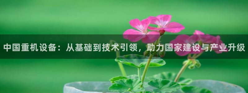 威九国际韩国：中国重机设备：从基础到技术引领，助力国家建设与