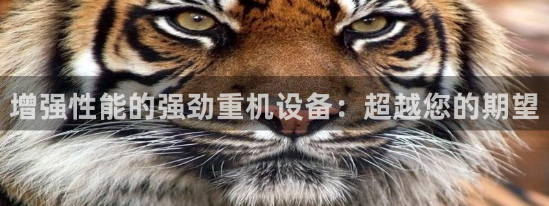 威九国际网站进入(中国)有限公司-官网：增强性能的强劲重机设