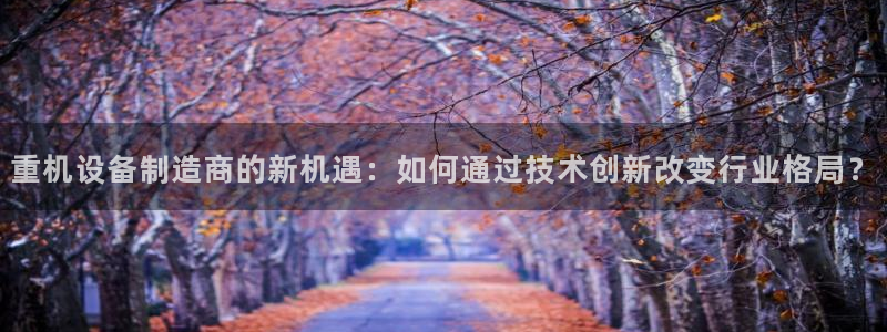 威九国际网站入口地址查询