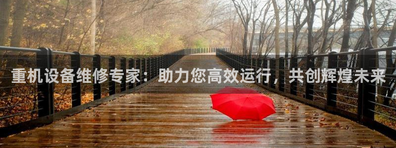 威九国际软件公司简介