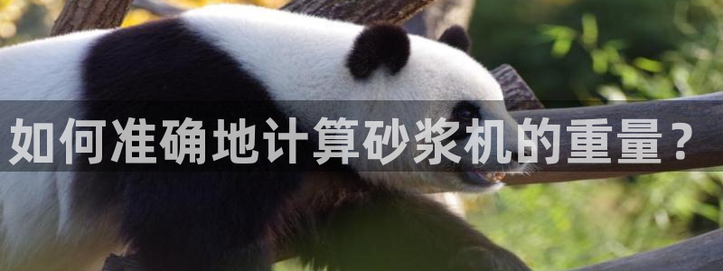 威九国际特殊奖励