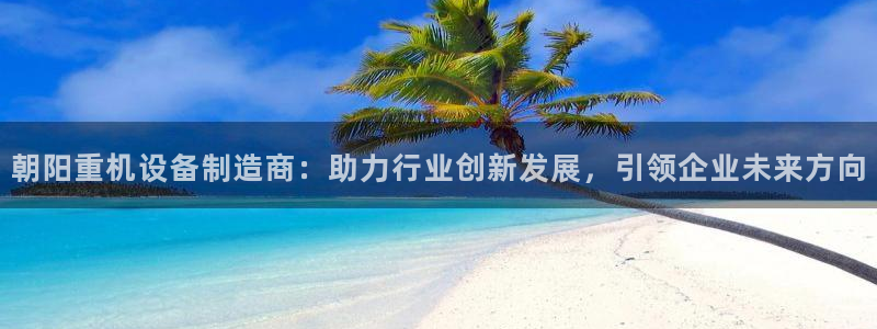 威九国际客服电话号码是多少：朝阳重机设备制造商：助力行业创新