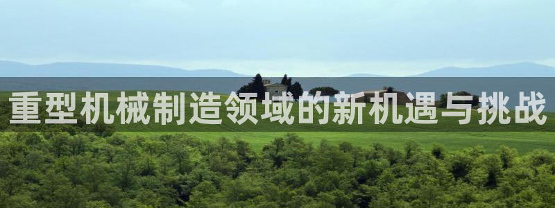 威九国际的金融服务有哪些：重型机械制造领域的新机遇与挑战