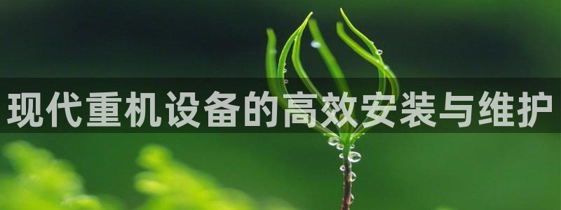 威九国际抡里：现代重机设备的高效安装与维护