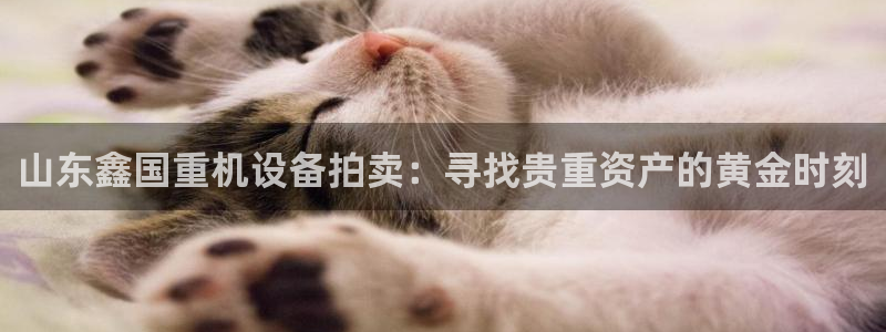 66m成长模式视频威九国际视频：山东鑫国重机设备拍卖：寻找贵