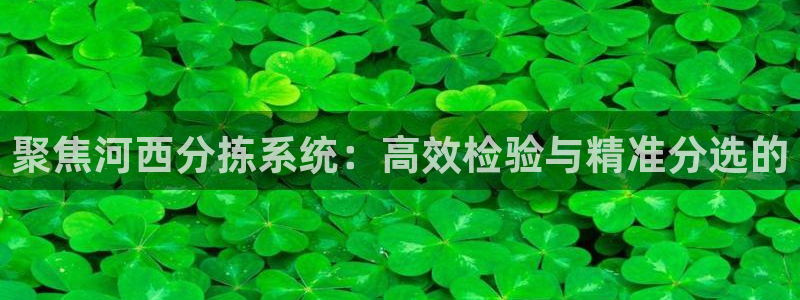 威九国际ppt免费下载网址：聚焦河西分拣系统：高效检验与精准