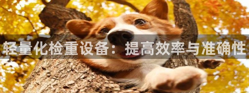 威九国际可以退钱吗怎么退的