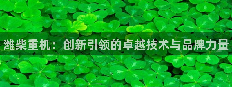 威九国际app客服电话