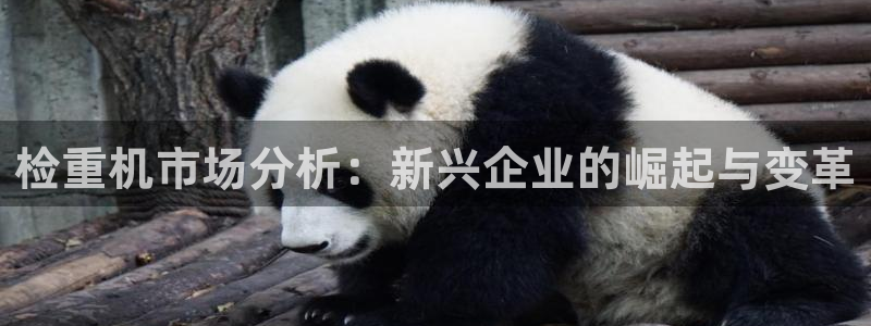 威九国际真人游戏