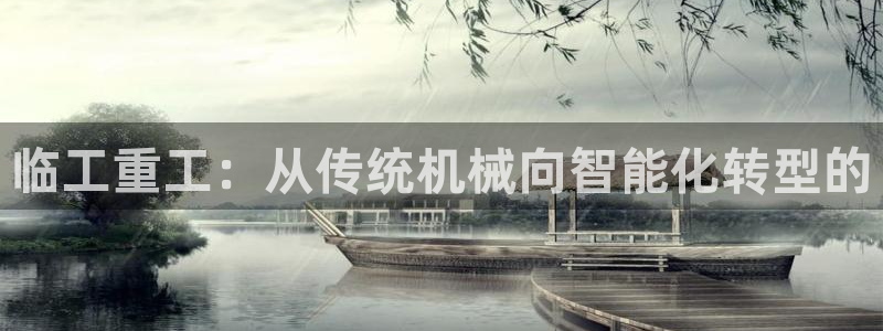 保定威九网络科技有限公司