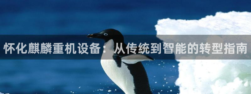 威九国际app哪个地方