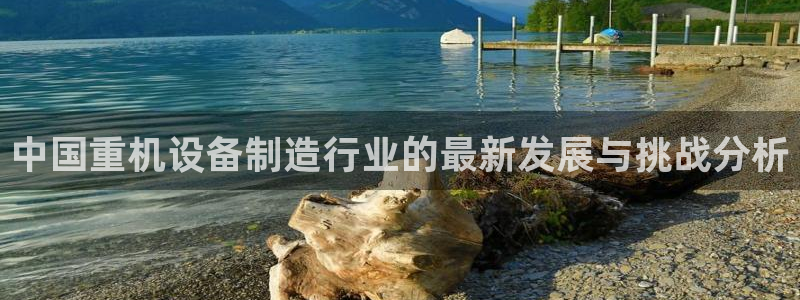威九国际集团66m一6：中国重机设备制造行业的最新发展与挑战