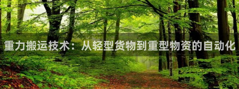 保定威九网络科技有限公司电话