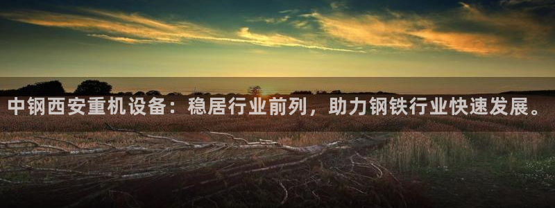 威九国际app网站官网：中钢西安重机设备：稳居行业前列，助力