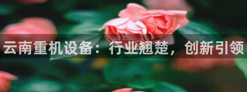 66m威九国际成长模式