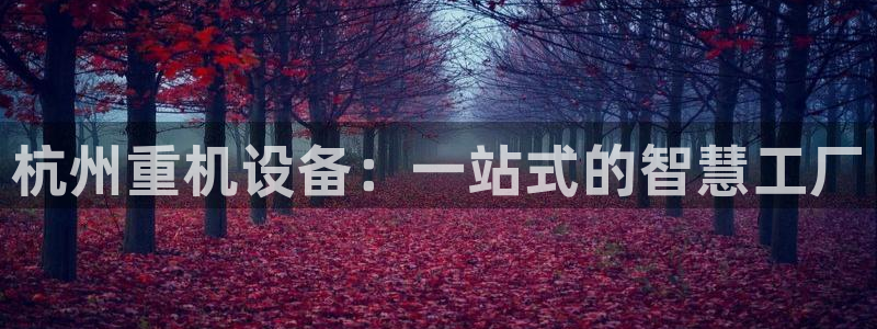 威九国际视频传媒招聘：杭州重机设备：一站式的智慧工厂