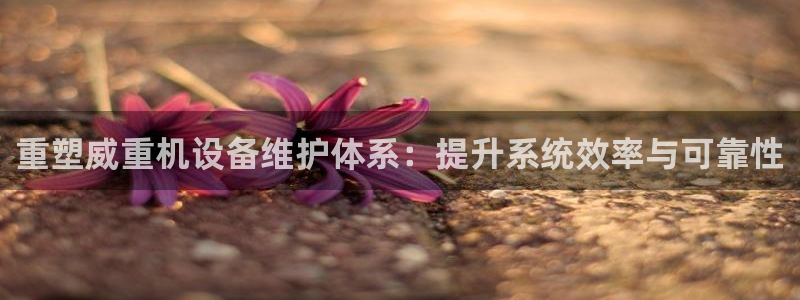 威九国际免费ppt网址：重塑威重机设备维护体系：提升系统效率