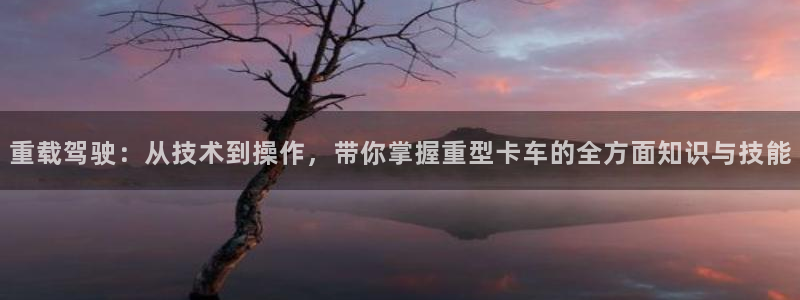 威九国际66m66成长模式：重载驾驶：从技术到操作，带你掌握