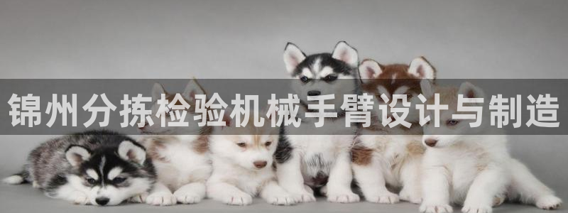 威九国际客服电话