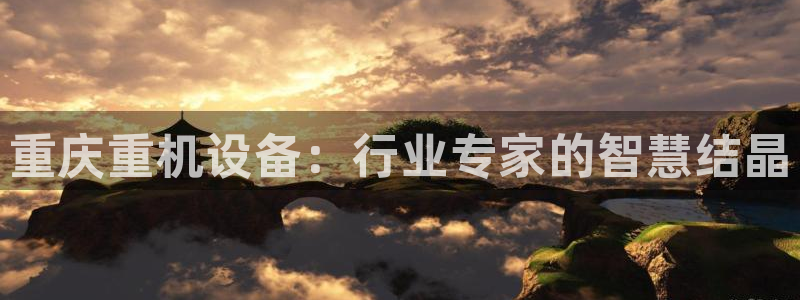 威九国际合作伙伴有哪些：重庆重机设备：行业专家的智慧结晶
