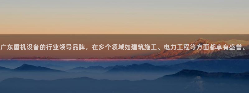 威九国际APP入口：广东重机设备的行业领导品牌，在多个领域如