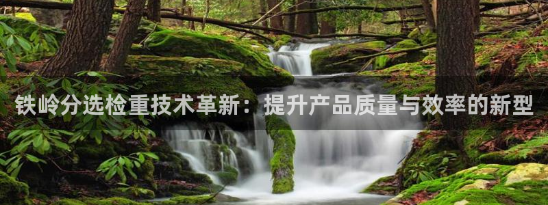 威九国际app入口在哪：铁岭分选检重技术革新：提升产品质量与