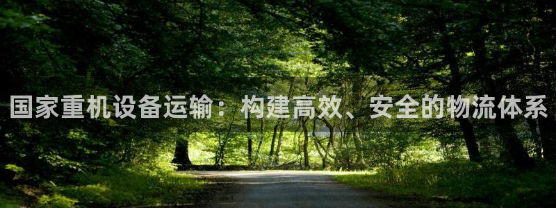 威九国际成长模式：国家重机设备运输：构建高效、安全的物流体系