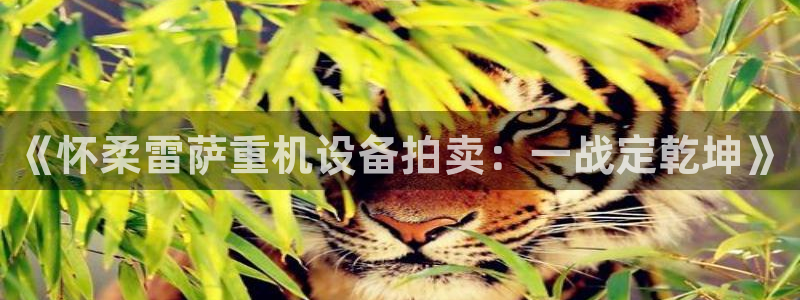 威九国际网站客服电话多少啊：《怀柔雷萨重机设备拍卖：一战定乾