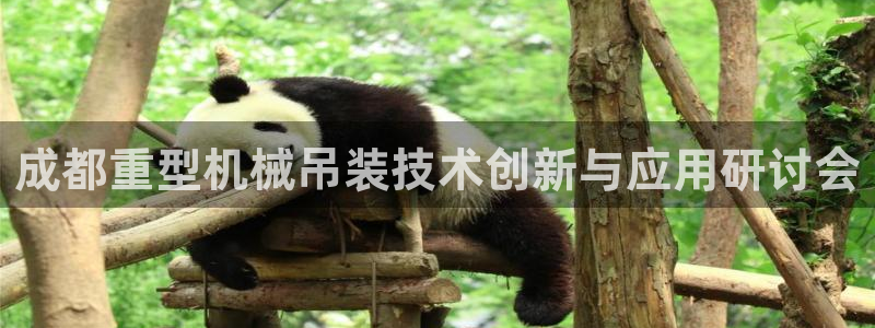 威九国际客服电话：成都重型机械吊装技术创新与应用研讨会