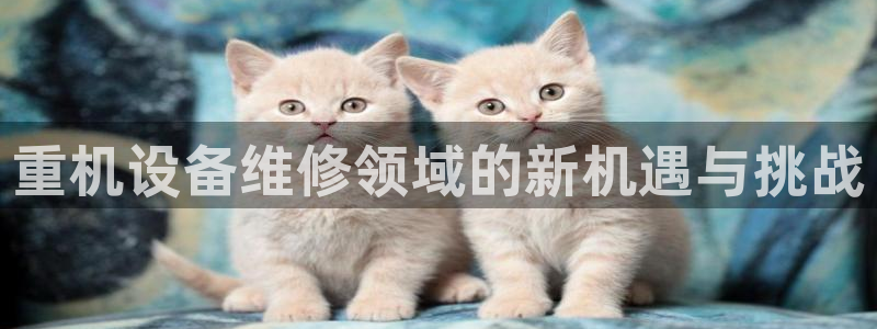 78mapp威九国际媒体