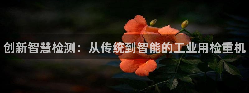 威九国际最新网站