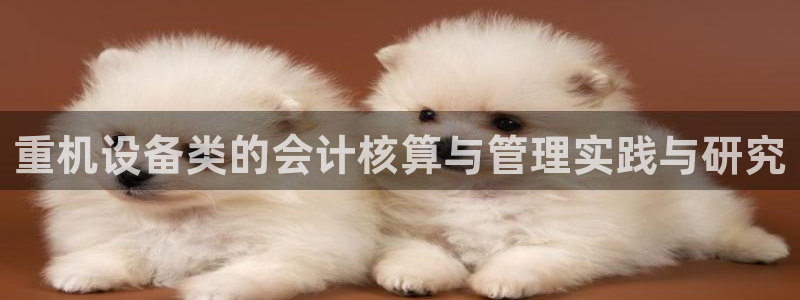 威九国际下载官网app：重机设备类的会计核算与管理实践与研究