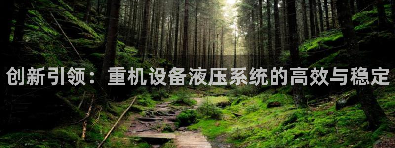 威九国际软件公司简介