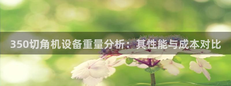 威九国际系列：350切角机设备重量分析：其性能与成本对比