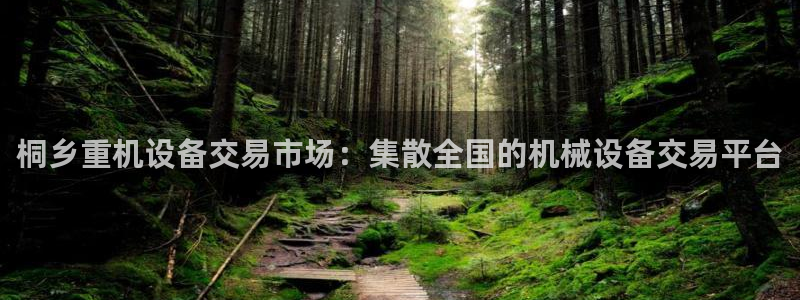 威九国际可以提现吗：桐乡重机设备交易市场：集散全国的机械设备