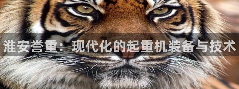 威九国际演员名单