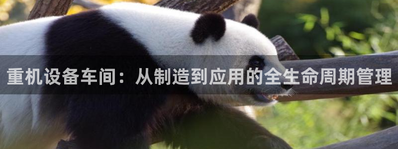 威九国际AN